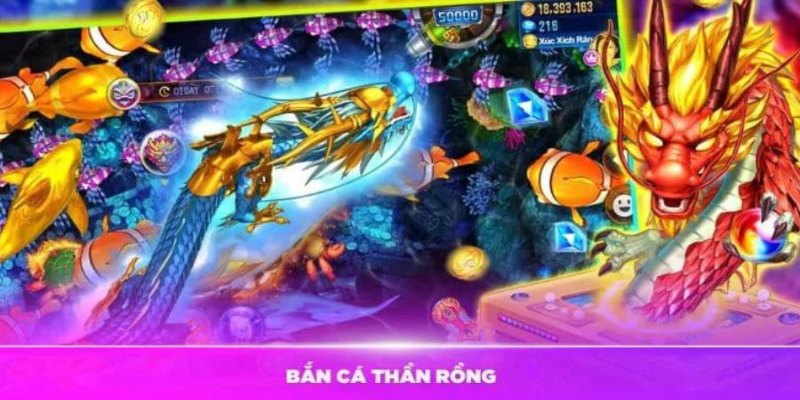 Phòng chính thức phù hợp người mới