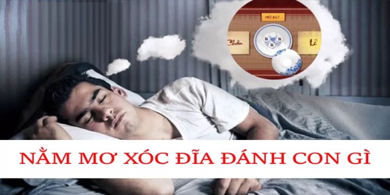 Tín hiệu may mắn khi mơ số chẵn trong xóc đĩa
